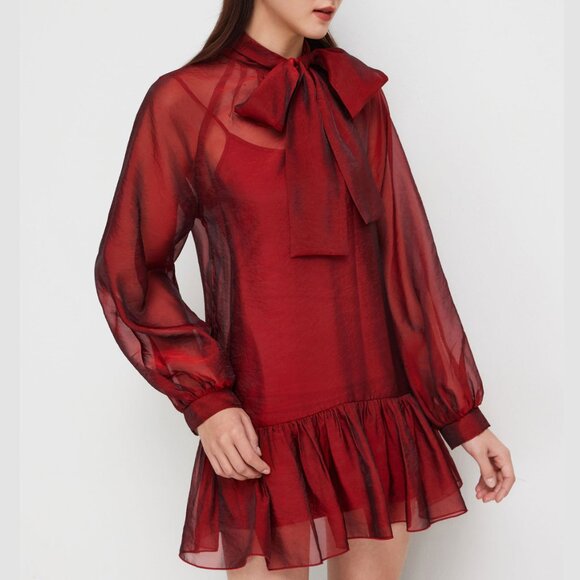 Red Bowknot Sheer Mini Dress with Cami Mini Dress - Picture 3 of 13